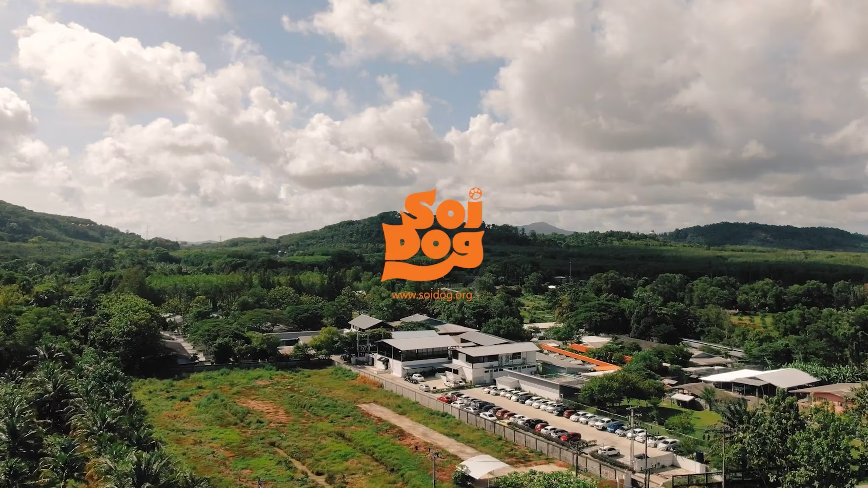 Video laden: Schau dir die gesamte 20-jährige Geschichte der Soi Dog Foundation in Thailand an!